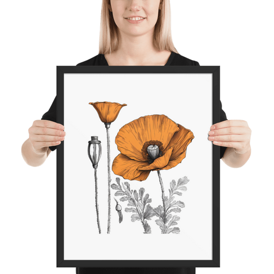 California Poppies Sketch, Framed